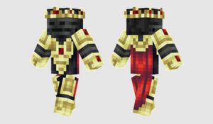 wither-king-skin 12